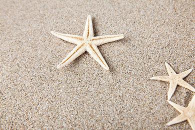 恋爱模拟经营游戏《奇迹甜品店》将登陆任天堂Switch